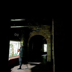 View inside magic forest at night 29.10.23