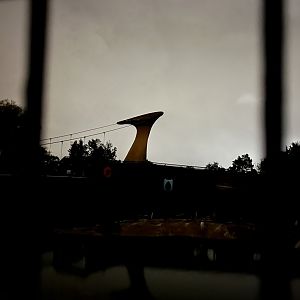 View of penguin rock at night 29.10.23