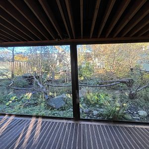 Red panda enclosure (0.5 zoom) 11.11.23