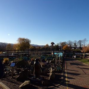 View over penguin enclosure 11.11.23