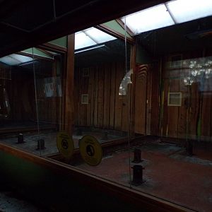 Former male koala enclosure now empty 11.11.23