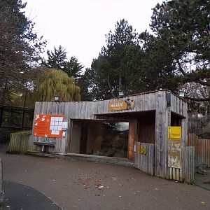 Meerkat house 19.11.23