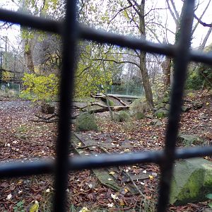 Former pelican enclosure 19.11.23