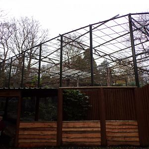 View of newly occupied Egyptian vulture enclosure 19.11.23