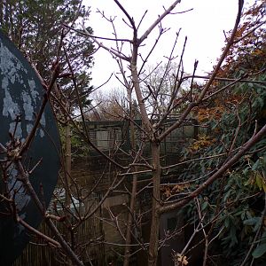 Best view I could get of the off-show monkey cage (formerly parrot and macaque cage) 19.11.23