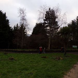 View of wallaby walkthrough 19.11.23