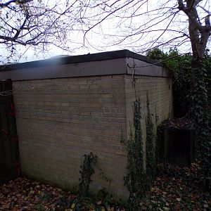 Former big cat row housing 19.11.23