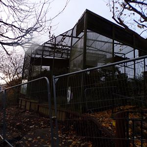 Former Egyptian vulture aviary 19.11.23