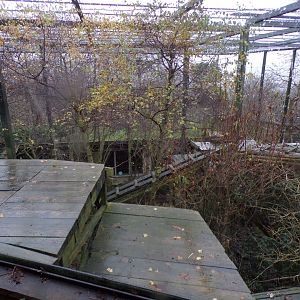 Sumatran tiger older enclosure 9.12.23