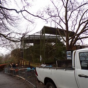 View of work being done on former Egyptian vulture aviary 9.12.23