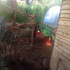 Three-banded armadillo enclosures 1.1.24