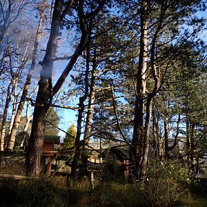 Red panda enclosure 1.1.24