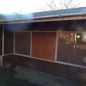 Former flamingo indoor viewing window 1.1.24