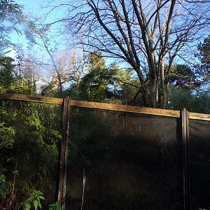 Former white-faced saki walkthrough 1.1.24