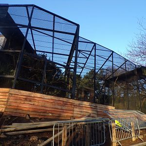 Construction on new L’hoest’s monkey enclosure 1.1.24