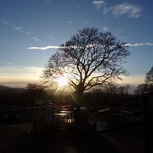 Nice view in the zoo 1.1.24