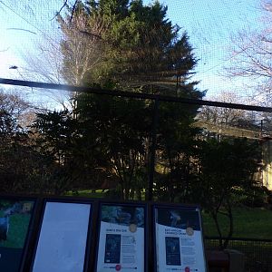 African aviary 1.1.24