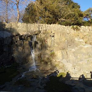 Water feature (formerly  Barbary rock) 1.1.24