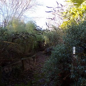 Former white-faced saki walkthrough enclosure 1.1.24
