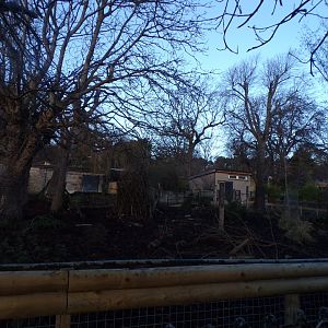 Visayan warty pig enclosure Former white-faced saki walkthrough enclosure 1.1.24