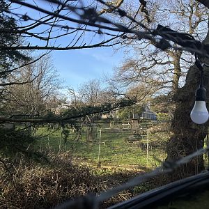 Bagot goat enclosure from outside the zoo 13.1.24