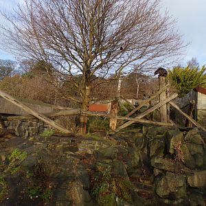 Sun bear enclosure 13.1.24