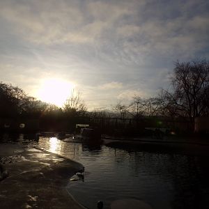 Penguins rock 13.1.24