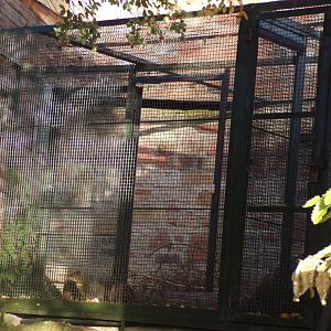 View of off-show cage 13.1.24