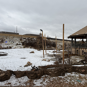 The Grasslands - African Savanna