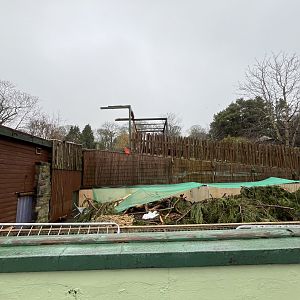 View of demolition of former Congo house 10.2.24