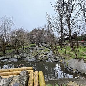 Asian short-clwaed otter enclosure (0.5 zoom) 10.2.24