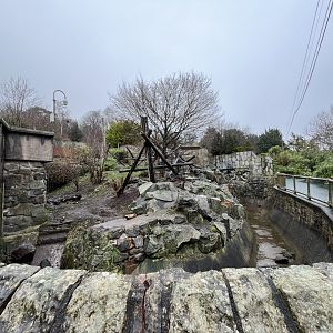 Sun bear enclosure (0.5 zoom) 10.2.24
