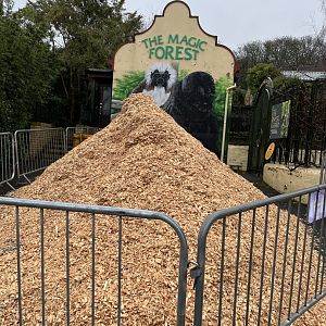 Huge pile of woodchips 10.2.24
