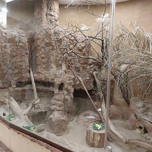 Sahara House - Gundi enclosure