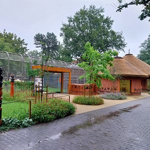 Lion House - Meerkat enclosure