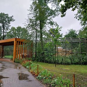 Lion enclosure - Viewing point