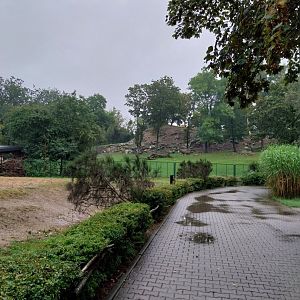 Libian arui enclosure