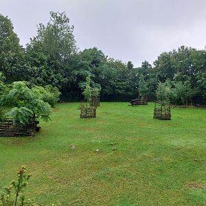 Eastern bongo enclosure
