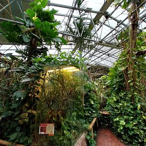 Madagascar House - Walk-through