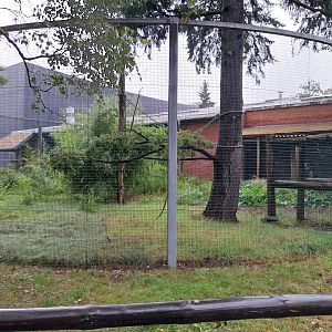 Madagascar House - Red ruffed lemur enclosure
