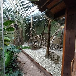Madagascar House - Crowned lemur exhibit