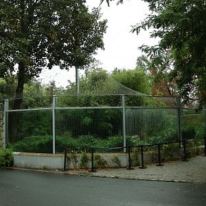 Southeast Asian carnivores - Sumatran tiger enclosure