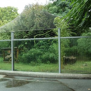 Southeast Asian carnivores - Sumatran tiger enclosure