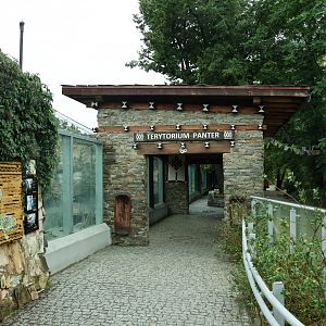 Southeast Asian carnivores - Terrytorium Panter