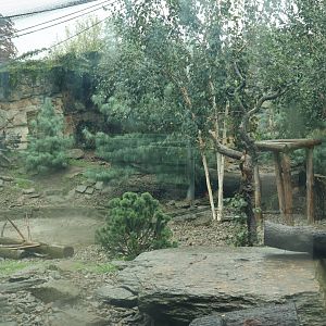 Southeast Asian carnivores - Terrytorium Panter - Snowleopard enclosure