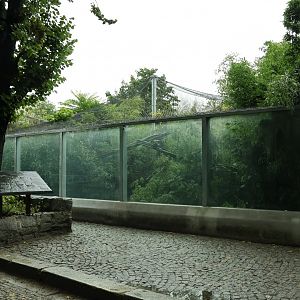 Southeast Asian carnivores - Terrytorium Panter - Indochinese clouded leopard enclosure