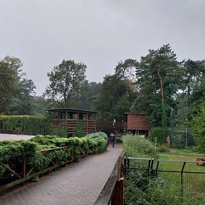 European faune - Elevated visitor platform