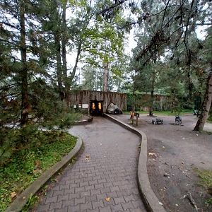 European faune - Wolf's den