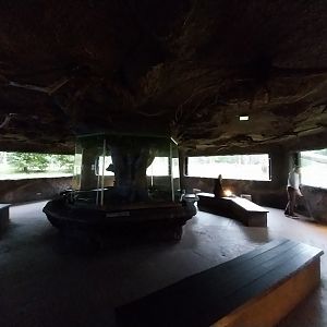 European faune - Wolf's den