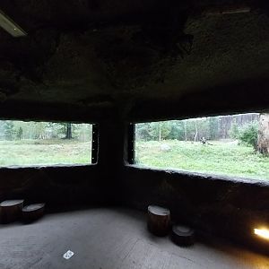 European faune - Wolf's den